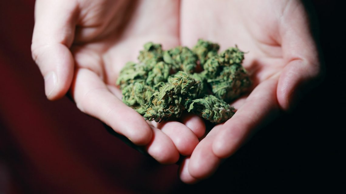La legalisation du cannabis en france