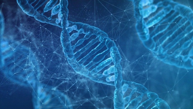 Quelles sont les différences entre l’ADN et l’ARN