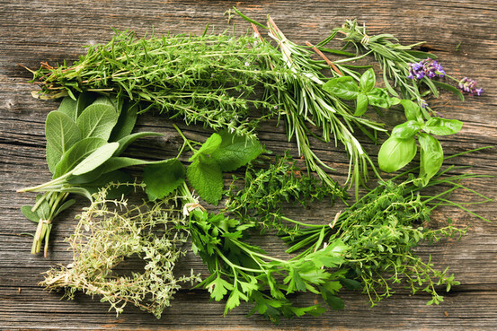 Les Herbes Aromatiques : Cultiver, Entretenir et Utiliser ces Trésors du Jardin