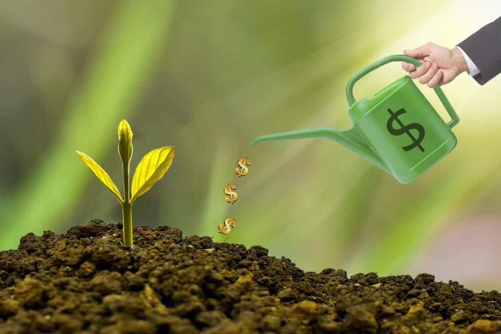 Une jeune pousse verte arrosée de symboles dollar par un arrosoir vert, illustrant la croissance d'un investissement.