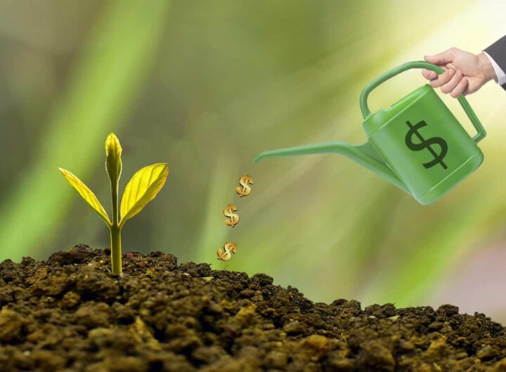 Une jeune pousse verte arrosée de symboles dollar par un arrosoir vert, illustrant la croissance d'un investissement.