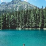homme regardant à travers un lac avec des pins sous un ciel bleu