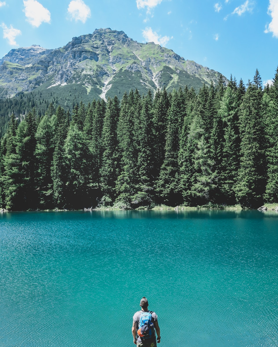 homme regardant à travers un lac avec des pins sous un ciel bleu