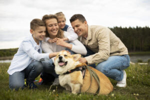 Le chien pour une famille