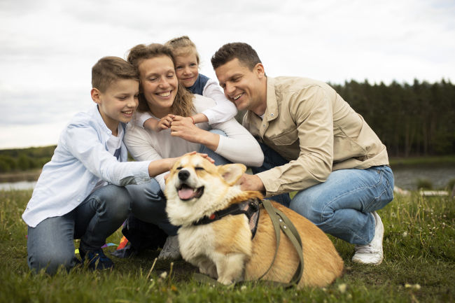 Le chien pour une famille